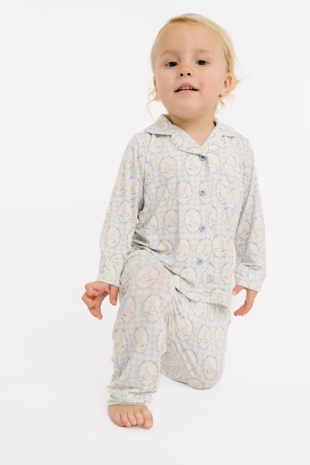 Cottage Goose Button Up Set