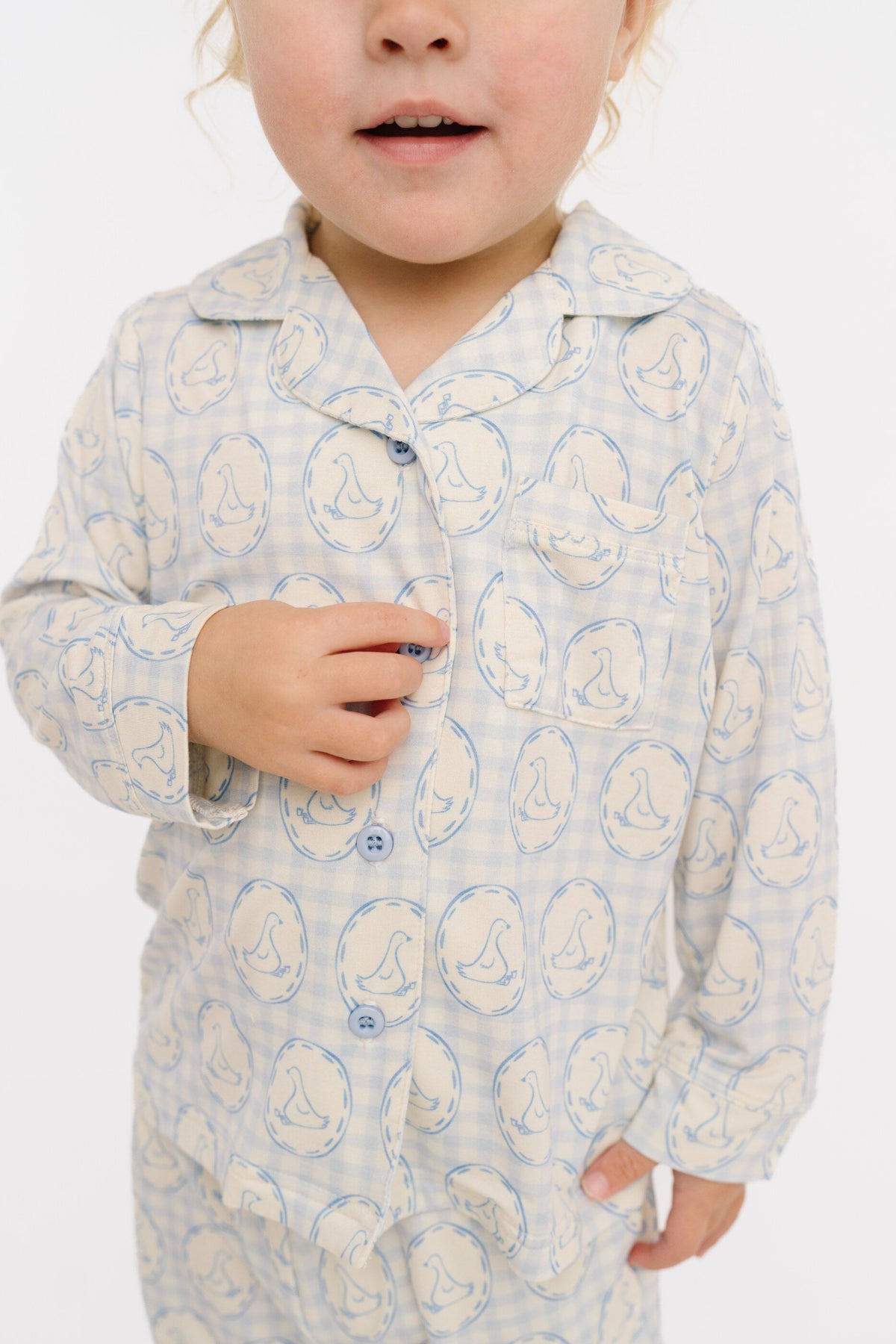 Cottage Goose Button Up Set