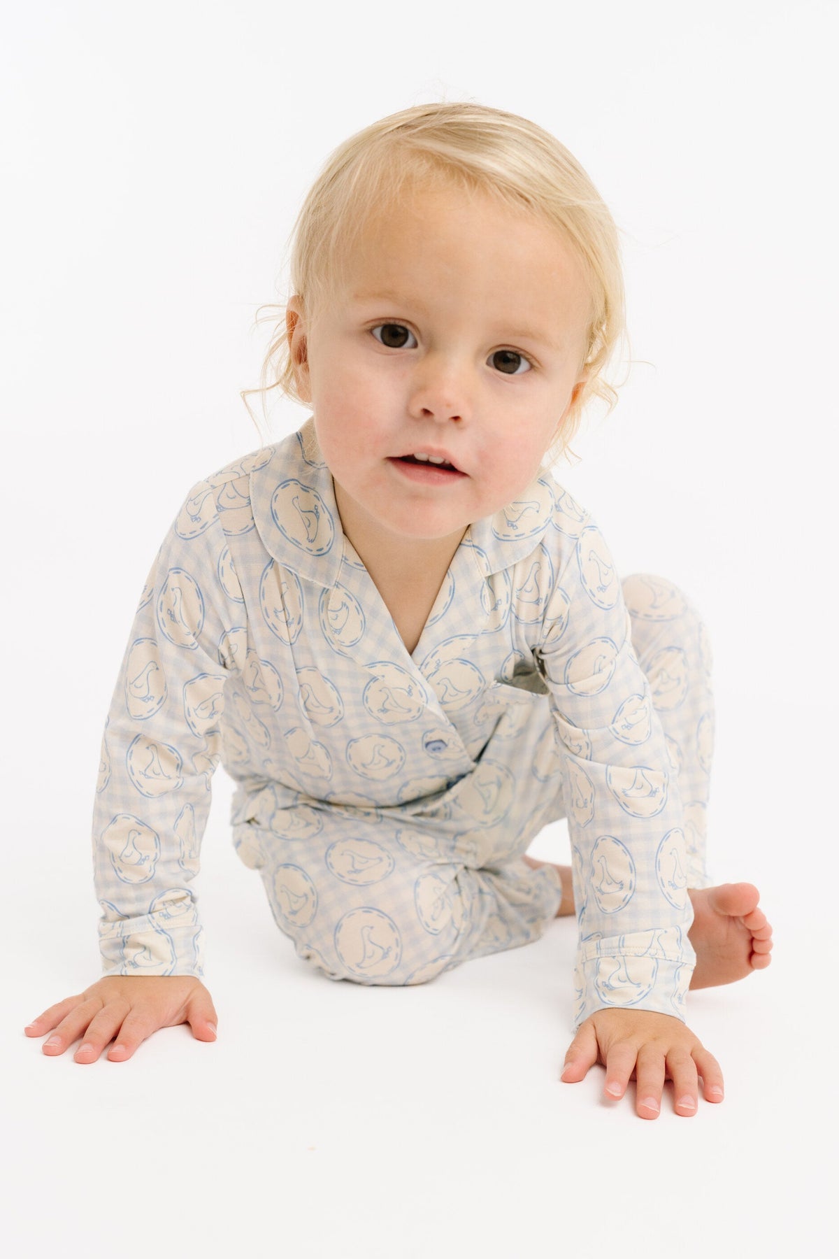 Cottage Goose Button Up Set