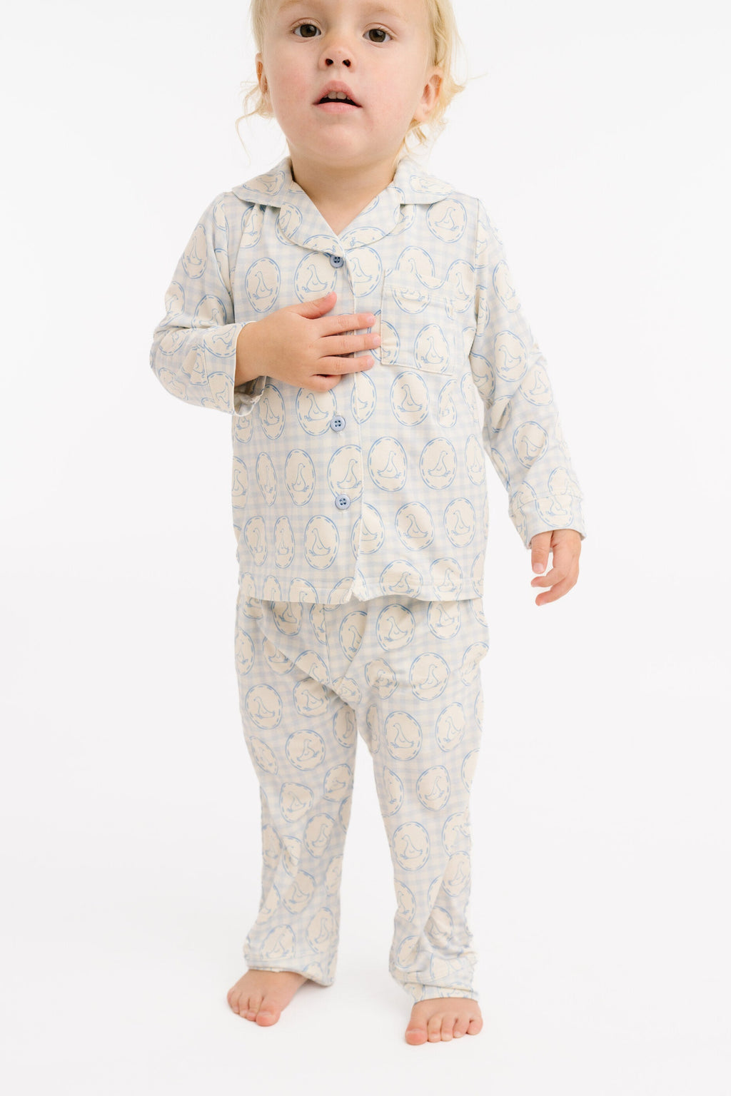 Cottage Goose Button Up Set
