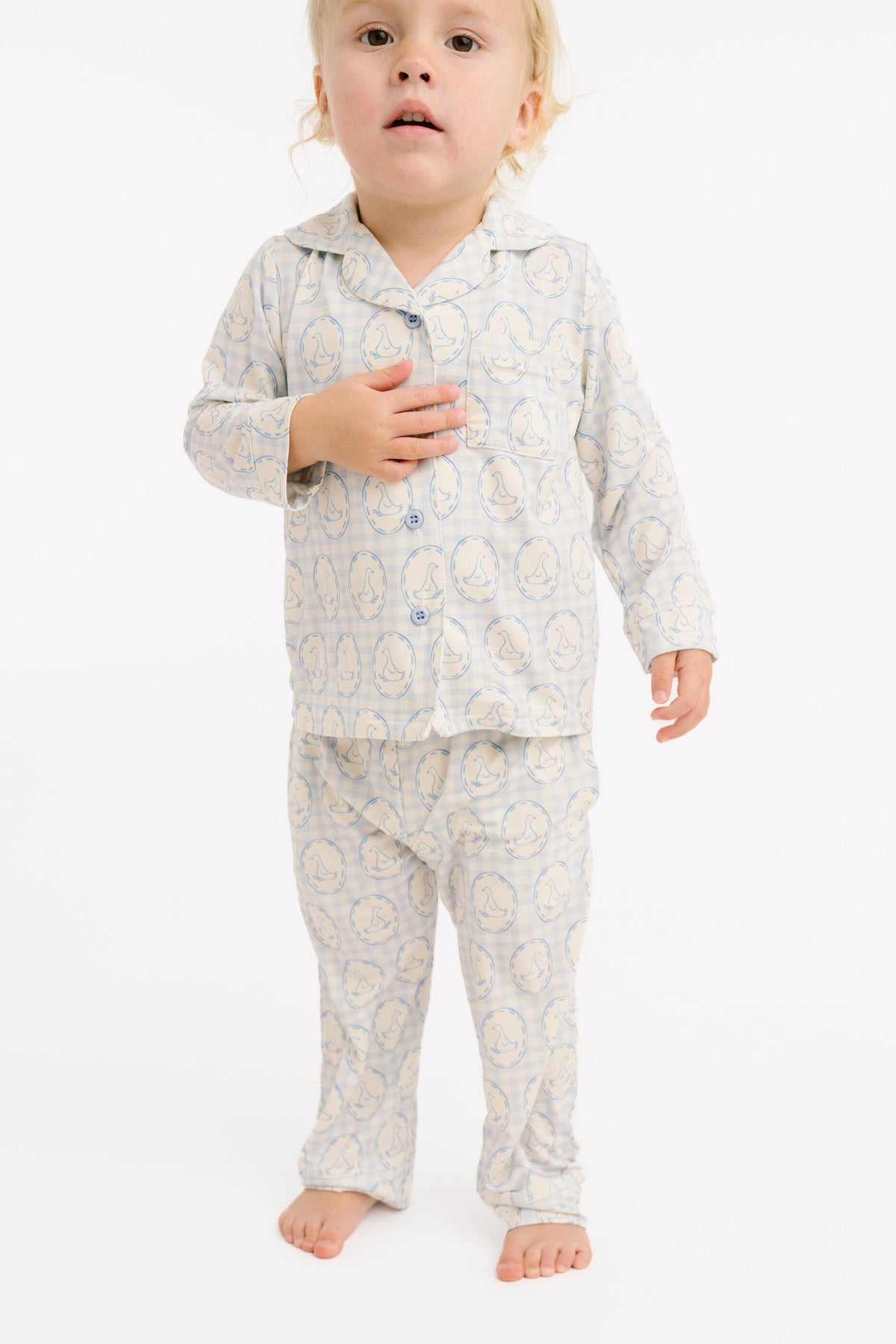 Cottage Goose Button Up Set