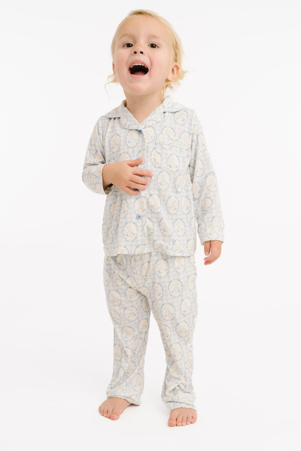 Cottage Goose Button Up Set